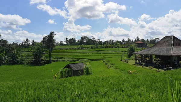 ubudp180413 (32).jpg
